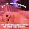 ola bb, wenas noches Frases pa dedicar ¿Pa que mas? IG.@guf_gufy solo quería desearte una noche tan bonita como tu carita.