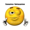 teamo bésame
ARMY OF COLORS