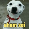 Memes e reações 🙃 15