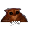 Gato con Botas Random 11