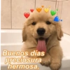 Buenos días preciosura hermosa.