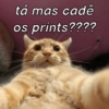 tá mas cadê
os prints????