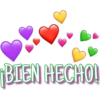 BIEN HECHO!