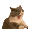 MEMES RANDOM #03 12