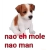 nao eh mole nao man