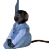 MEMES RANDOM #03 5