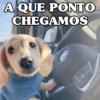 A QUE PONTO CHEGAMOS