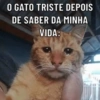 Memes da deprê 7