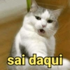 sai daqui