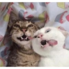 This could be us 13