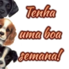 Tenha
ama boa
semanal