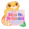 🦎💕Gecko Aurora💕🦎 11