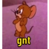 Só jerry 🐭  11