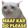 MAAF KAR DO PLEASE