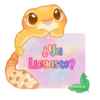 🦎💕Gecko Aurora💕🦎 21