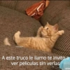 michis.para.d
A este truco le llamo te invito a
ver peliculas sin verlas
