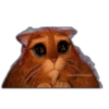 Gato con Botas Random 5