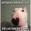 Selamat 10
