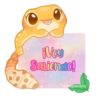 🦎💕Gecko Aurora💕🦎 27