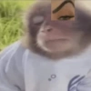 O.