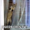 QUIÉN ERES TÚ?
