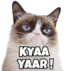 KYAA YAAR!