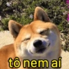 tô nem aí