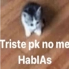 Triste pk no me HablAs