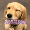 @tumblr.Ihl en Instagram. A mí no me gustas, a mí me encantas bb GOOD 60