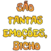 SÃO TANTAS EMOÇÕES, BICHO