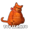Gato con Botas Random 21