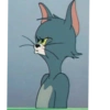 Tom and jerry 26