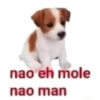 nao eh mole
nao man