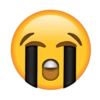 [Ⓒ]
