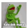 halo dek maba