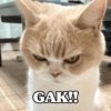 GAK!!