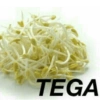 TEGA