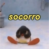 socorro