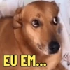 EU EM...