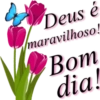 Deus é maravilhoso! Bom dia!