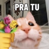 PRA TU