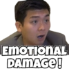EMOTIONAL DAMAGE!