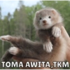 TOMA AWITA,TKM