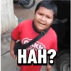 HAH?