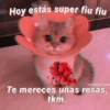 Hoy estás super fiu fiu Instal@guf_gufy Te mereces unas rosas, tkm.