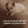 o sea sí me gusta salir, pero también me gusta no salir