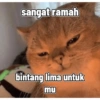 sangat ramah bintang lima untuk mu