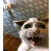 Hilarious Memes 9