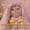 Frasecitas para tu relacion @Cursismood en Instagram Invítame a mimir a tu cama, la mía ya me aburrió