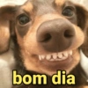 bom dia
